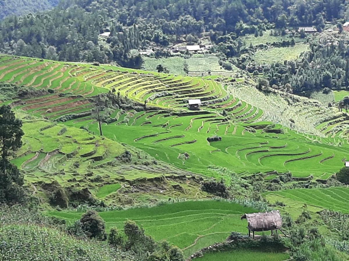 Dong Suoi H'Mong Homestay & Bungalow - Trek & Vegetarian Food Mu Cang Chai Kültér fotó