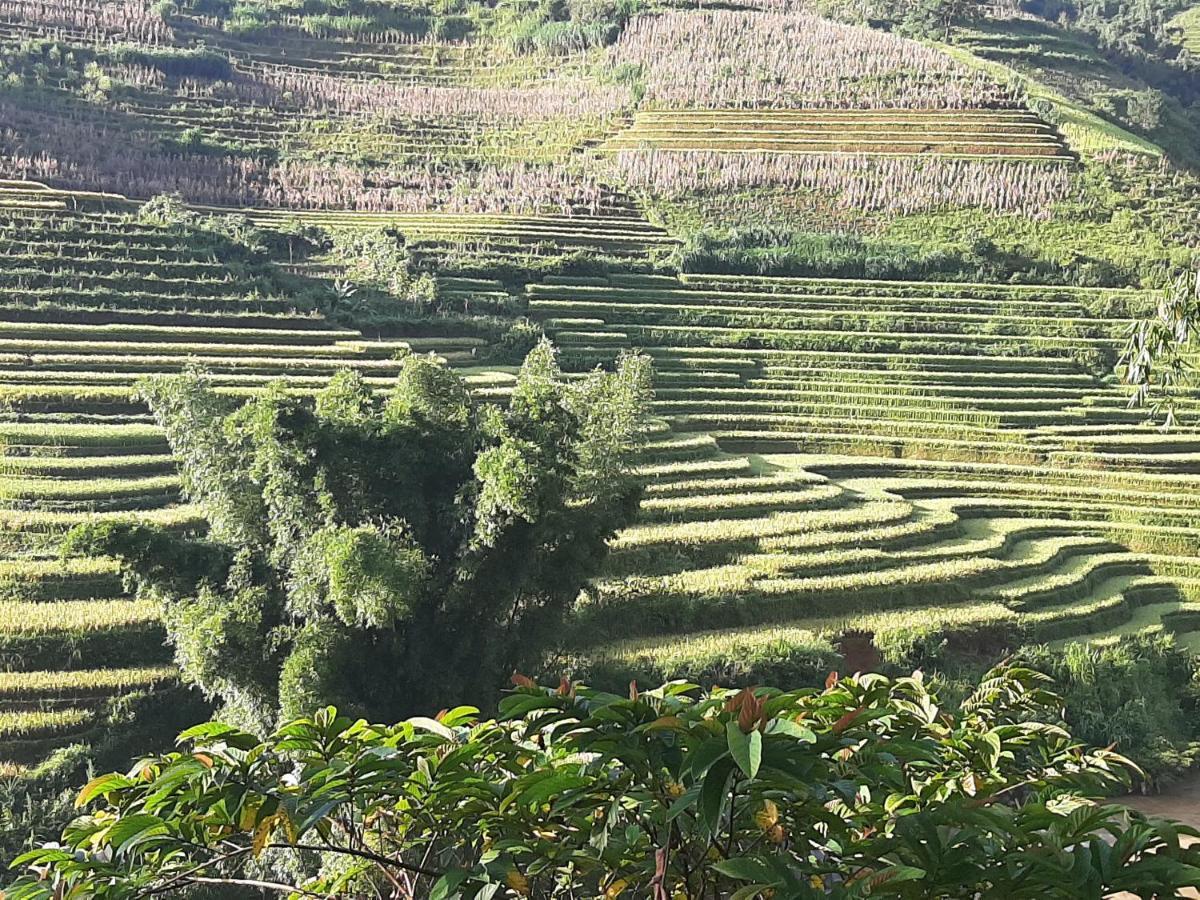 Dong Suoi H'Mong Homestay & Bungalow - Trek & Vegetarian Food Mu Cang Chai Kültér fotó