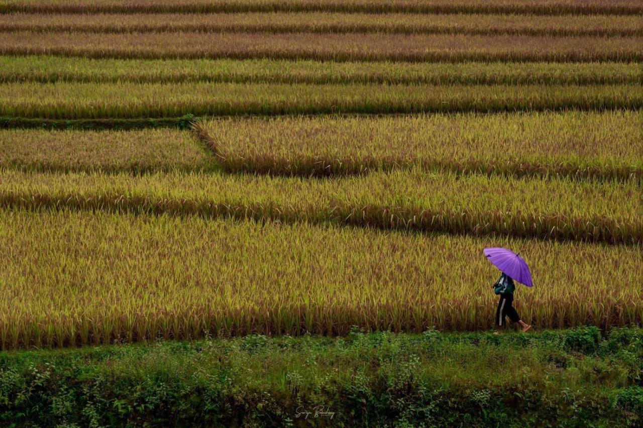 Dong Suoi H'Mong Homestay & Bungalow - Trek & Vegetarian Food Mu Cang Chai Kültér fotó