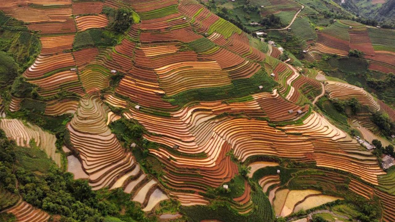 Dong Suoi H'Mong Homestay & Bungalow - Trek & Vegetarian Food Mu Cang Chai Kültér fotó