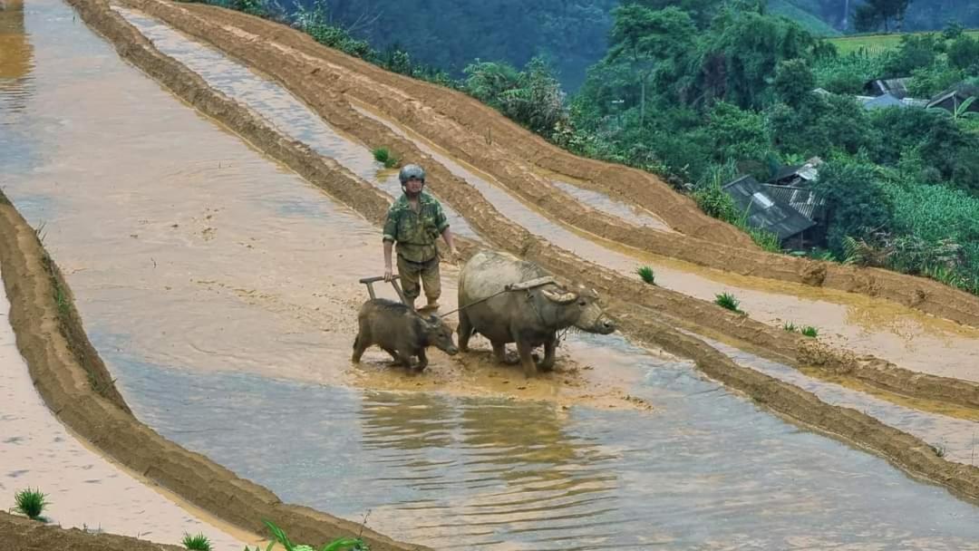 Dong Suoi H'Mong Homestay & Bungalow - Trek & Vegetarian Food Mu Cang Chai Kültér fotó