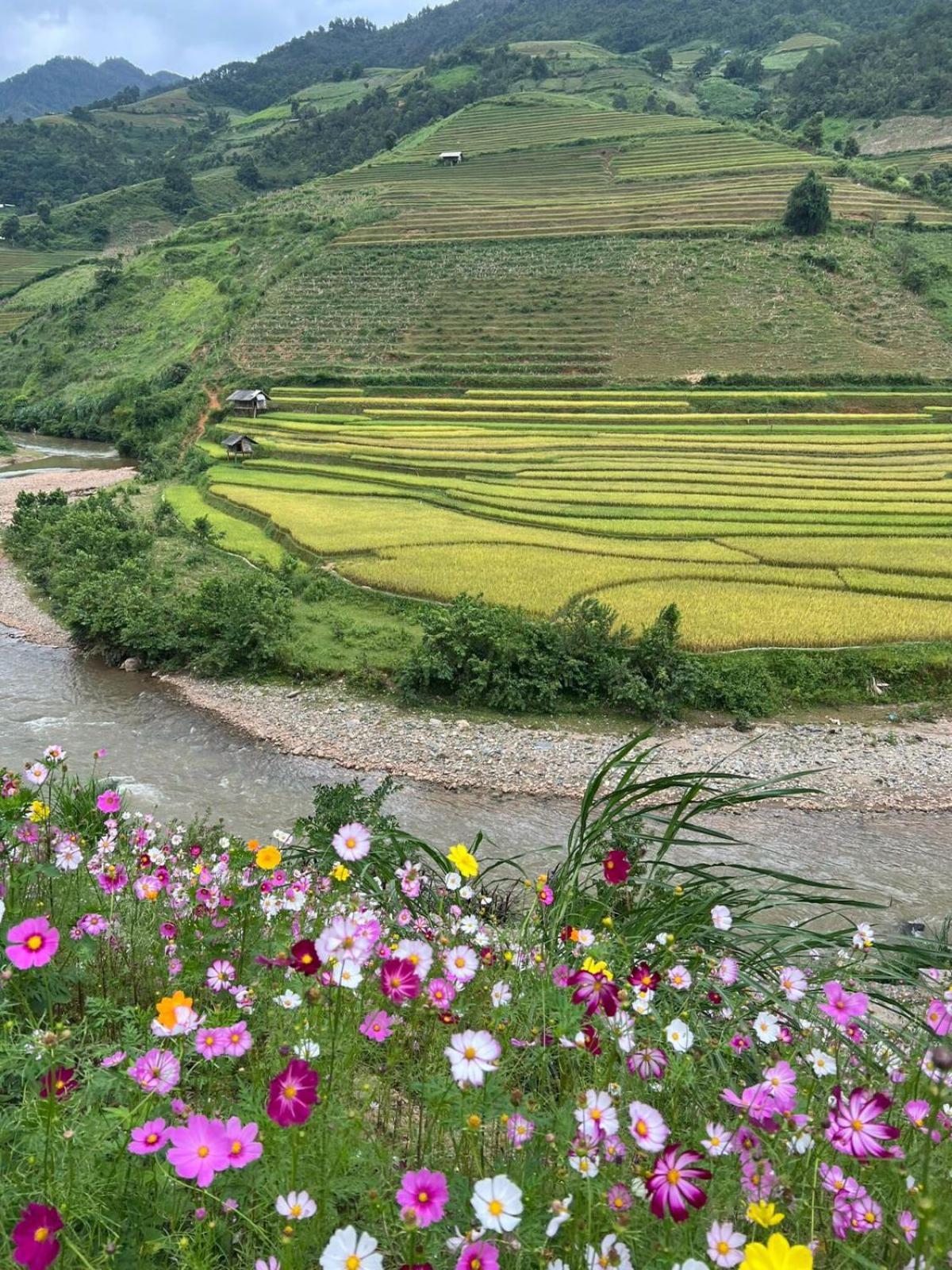 Dong Suoi H'Mong Homestay & Bungalow - Trek & Vegetarian Food Mu Cang Chai Kültér fotó
