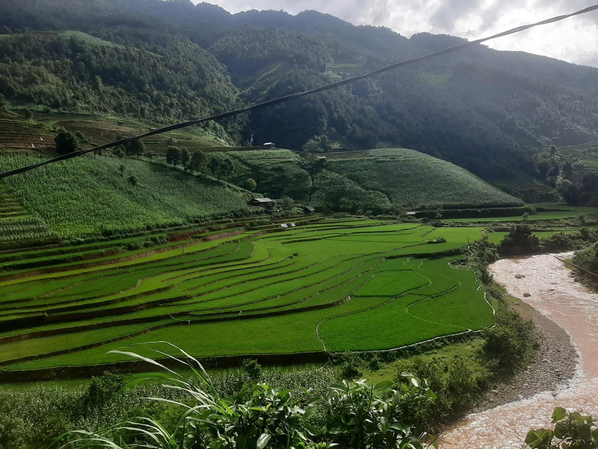 Dong Suoi H'Mong Homestay & Bungalow - Trek & Vegetarian Food Mu Cang Chai Kültér fotó
